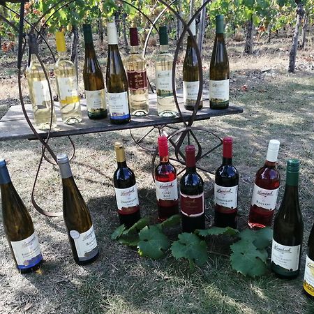 Ferienweingut Winnebeck Köwerich Buitenkant foto