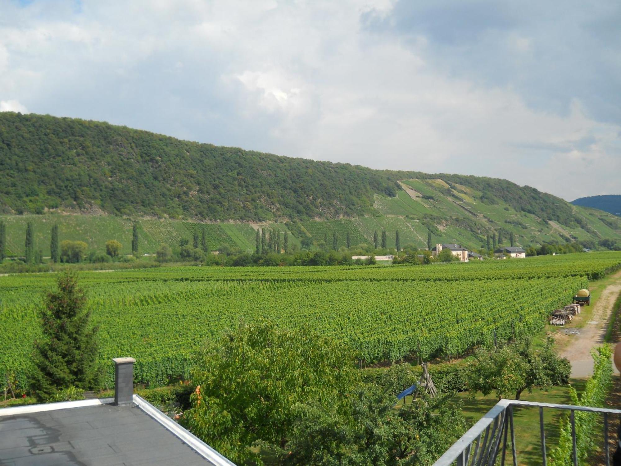 Ferienweingut Winnebeck Köwerich Kamer foto