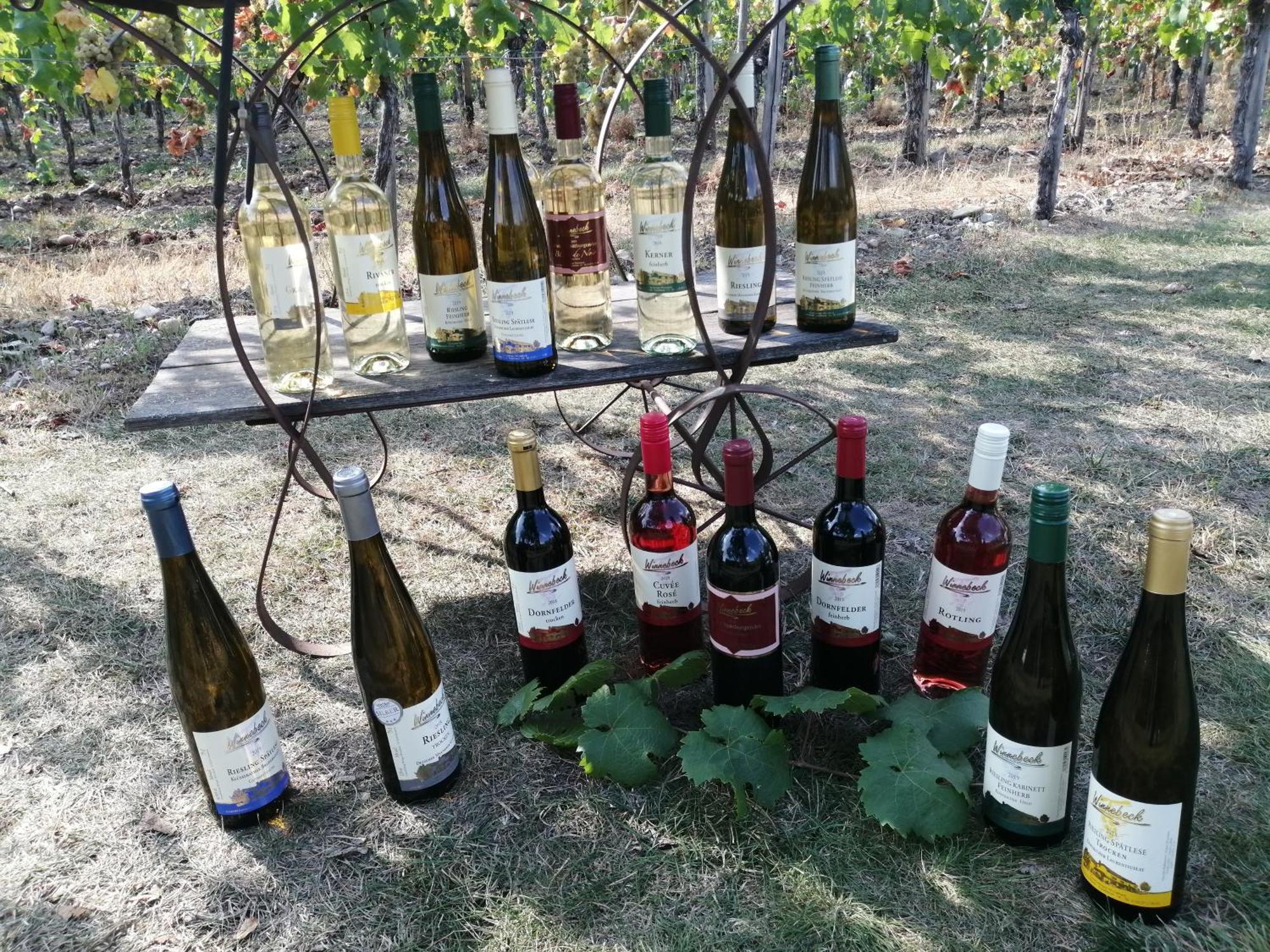 Ferienweingut Winnebeck Köwerich Buitenkant foto