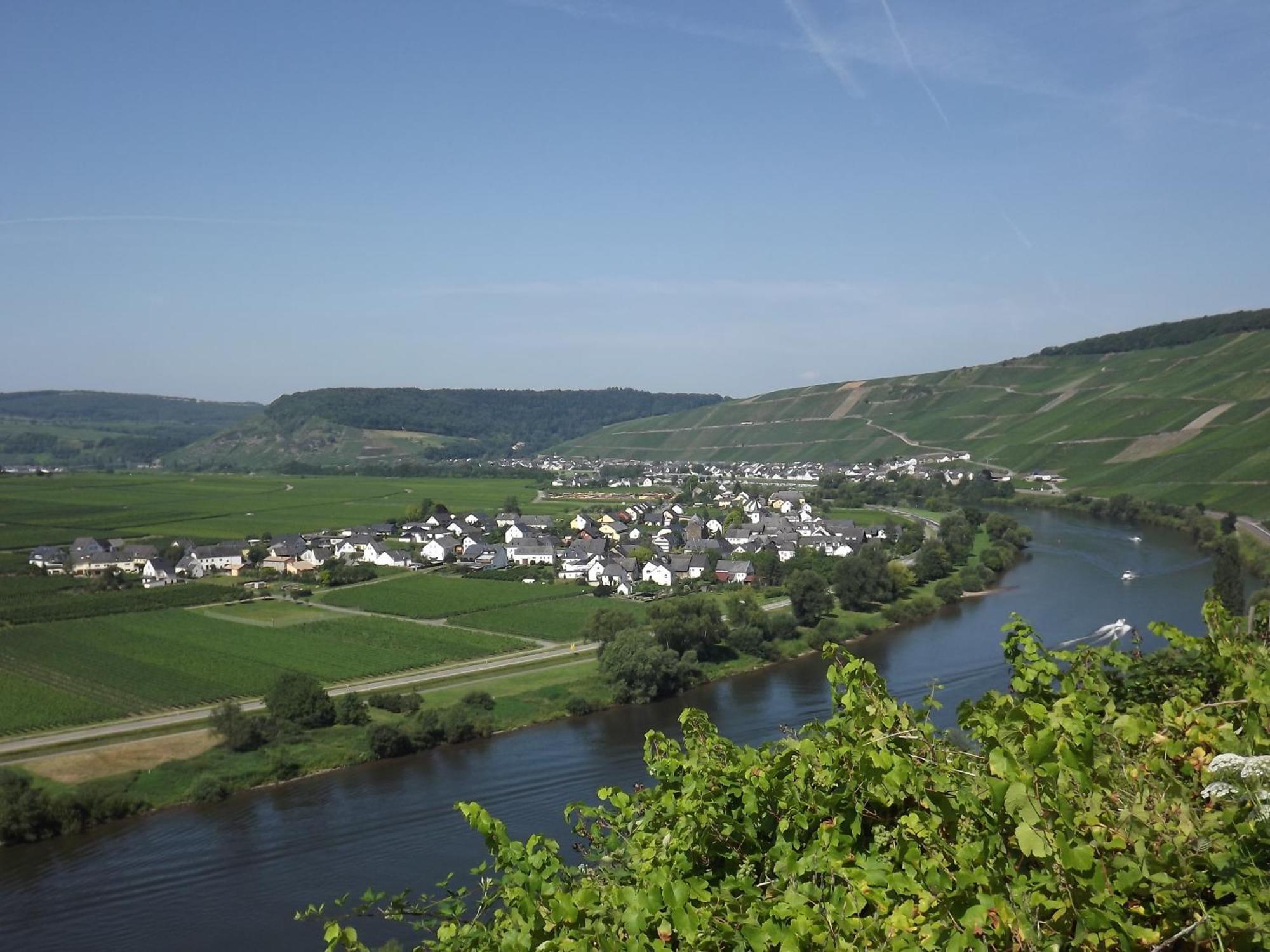Ferienweingut Winnebeck Köwerich Kamer foto