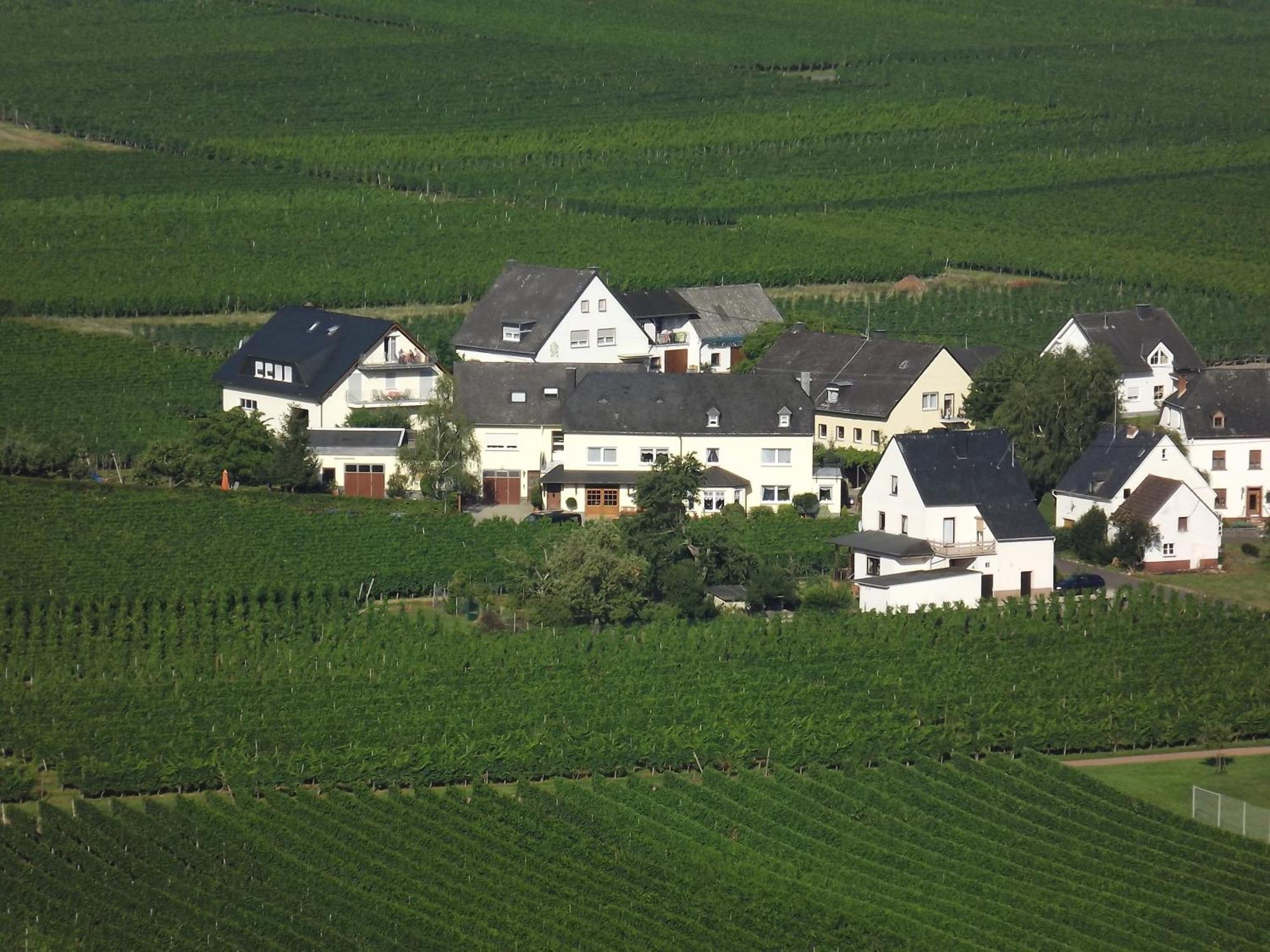 Ferienweingut Winnebeck Köwerich Kamer foto