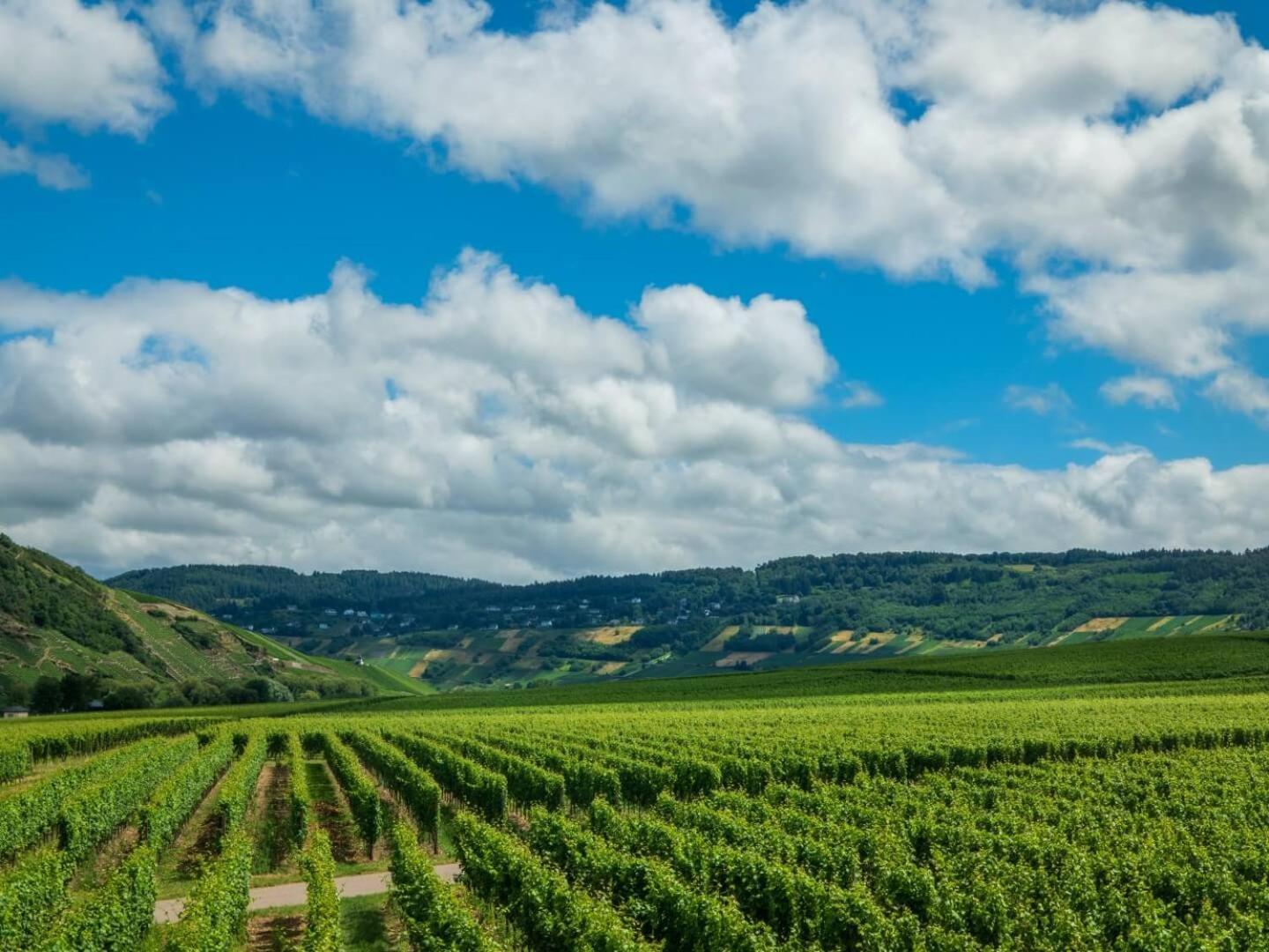 Ferienweingut Winnebeck Köwerich Buitenkant foto