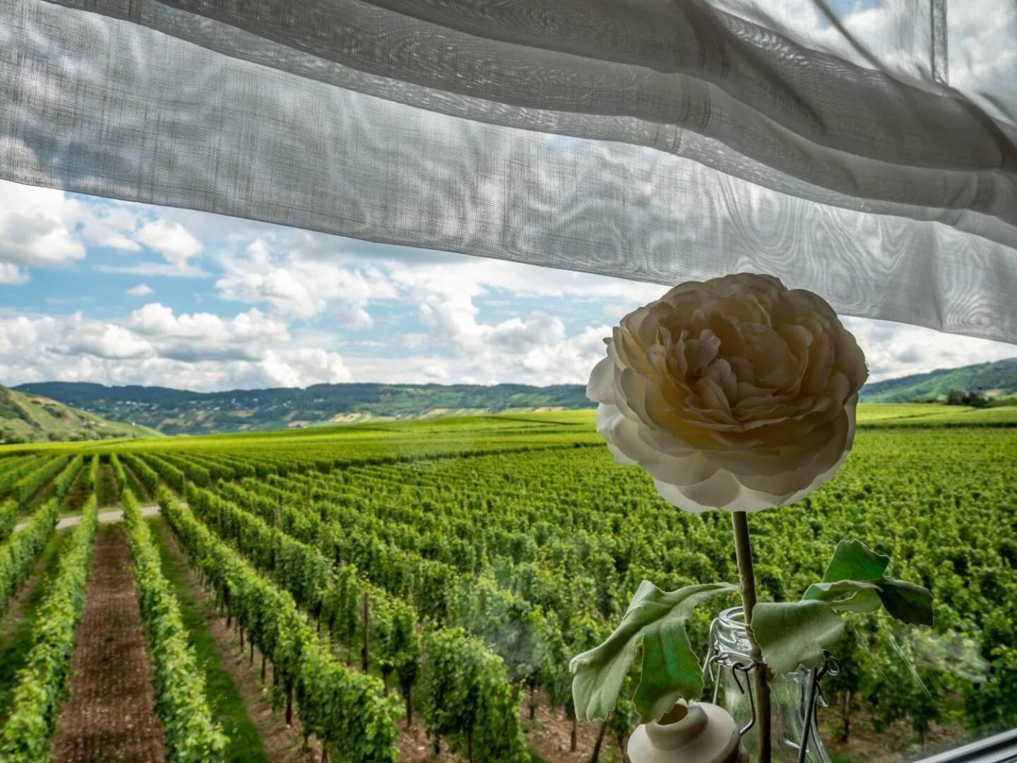 Ferienweingut Winnebeck Köwerich Buitenkant foto