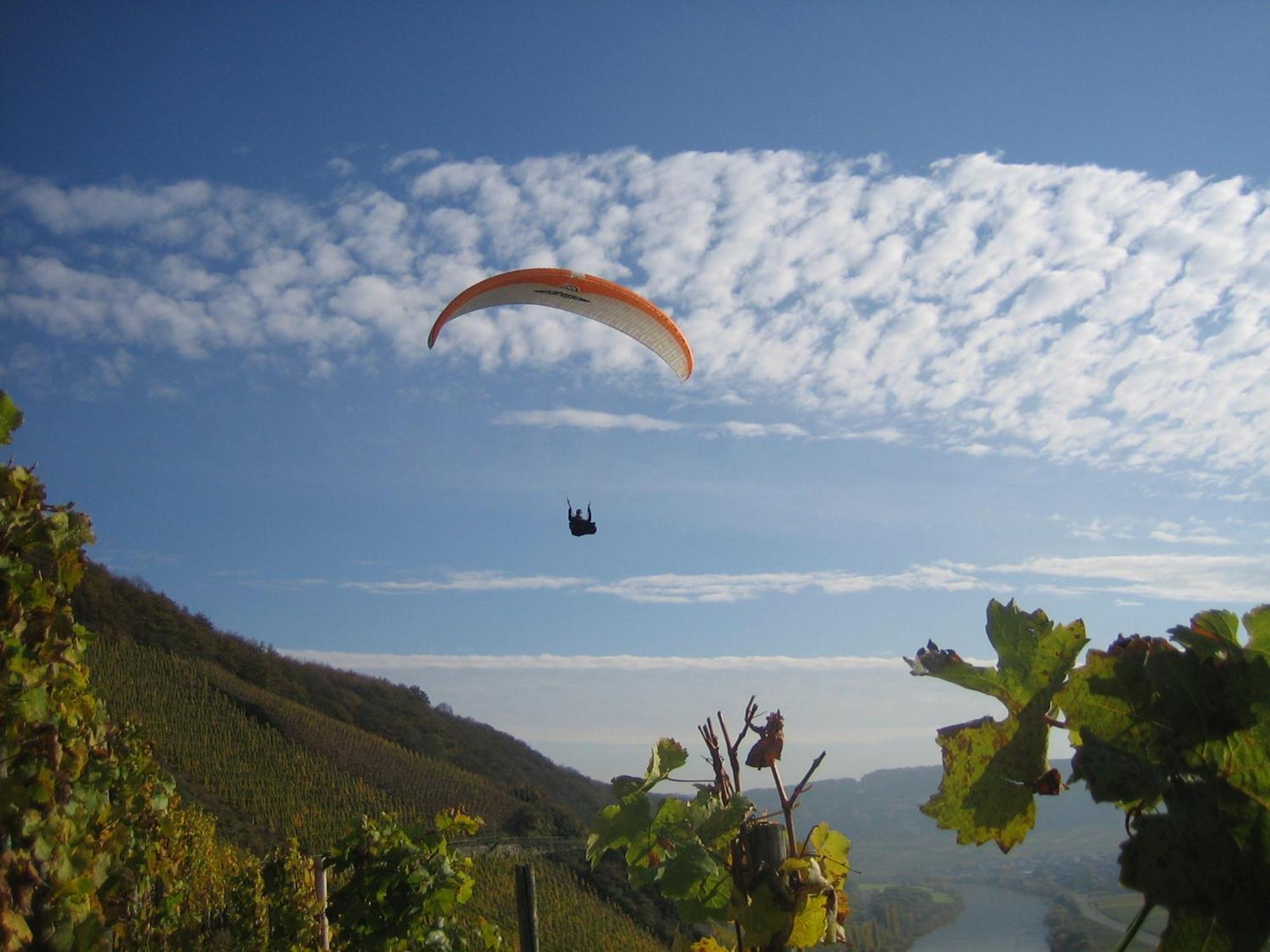 Ferienweingut Winnebeck Köwerich Buitenkant foto
