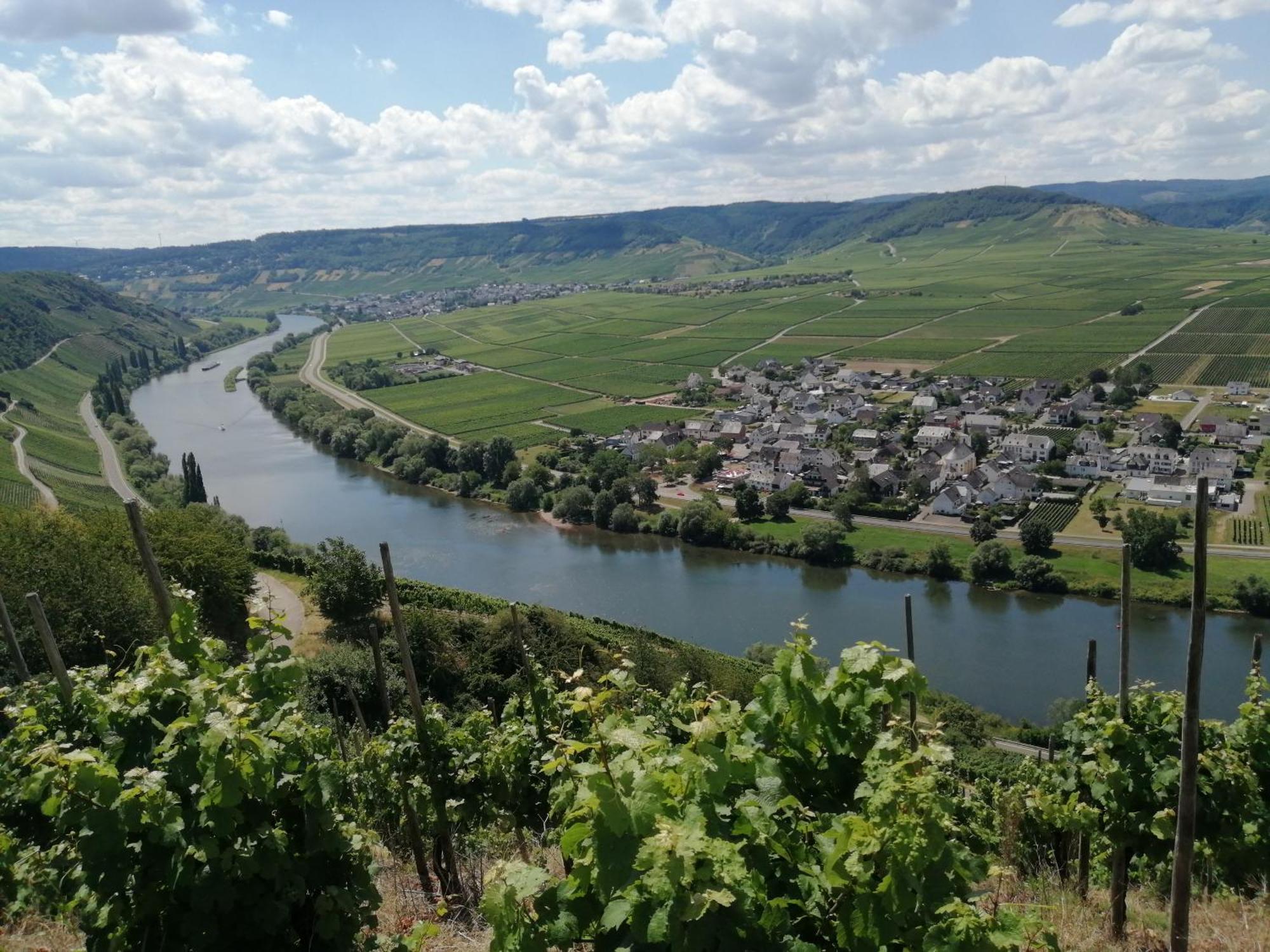 Ferienweingut Winnebeck Köwerich Buitenkant foto