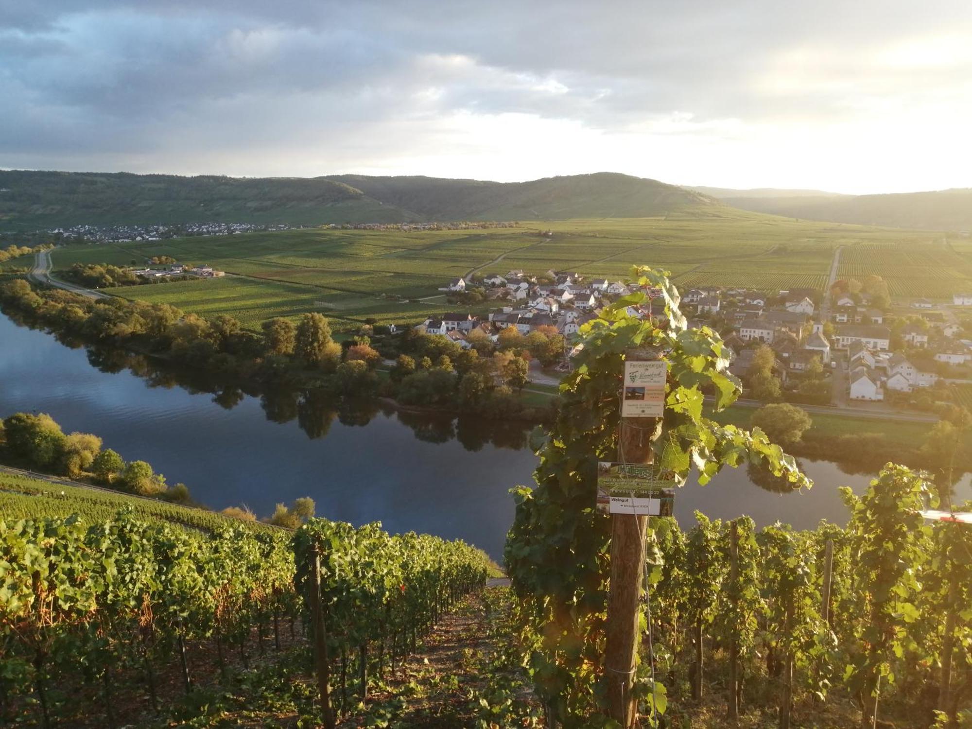 Ferienweingut Winnebeck Köwerich Buitenkant foto