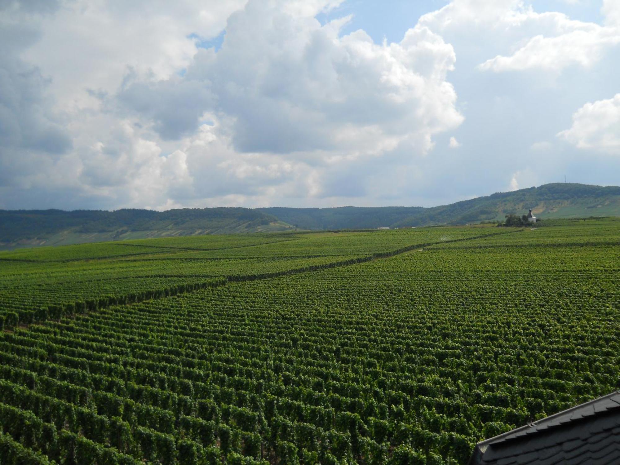 Ferienweingut Winnebeck Köwerich Buitenkant foto