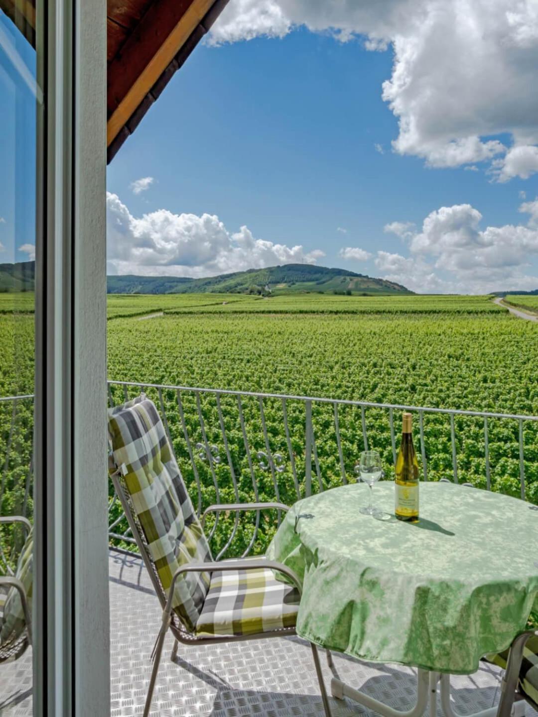 Ferienweingut Winnebeck Köwerich Buitenkant foto