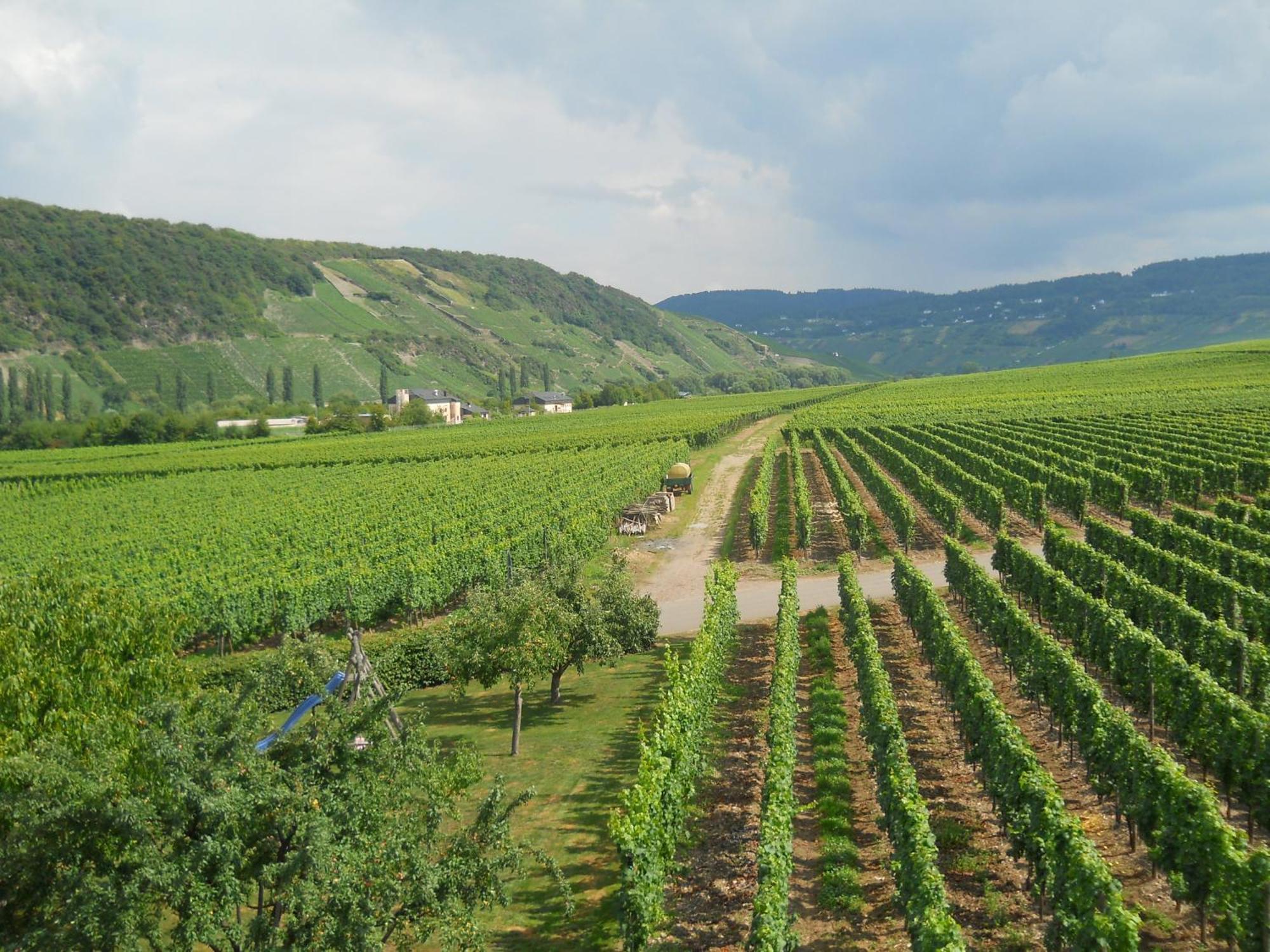 Ferienweingut Winnebeck Köwerich Buitenkant foto